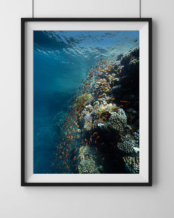 Keri Muller - Underwater Photography