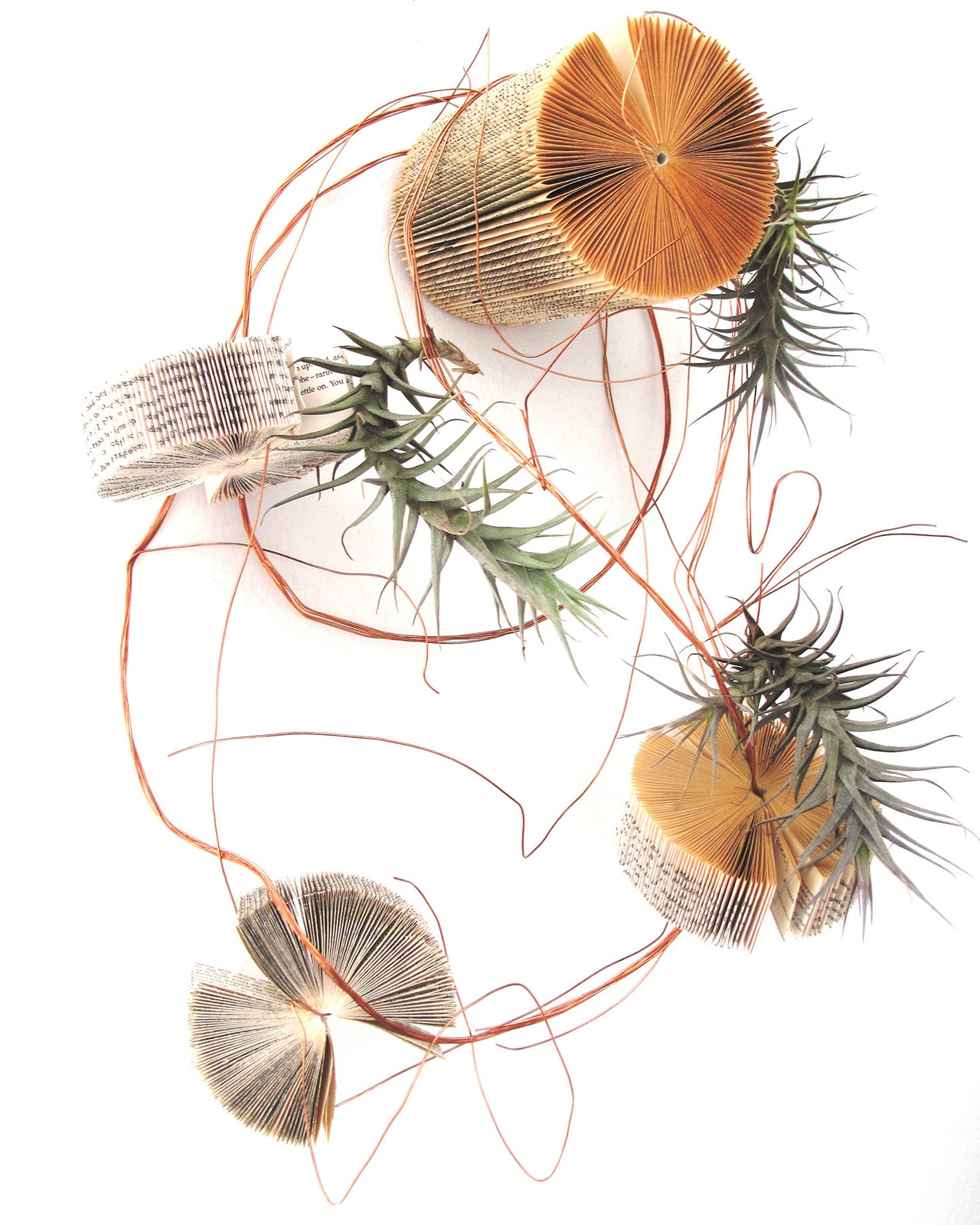 Artist - Keri Muller: An abstract installation of folded boooks and airplants