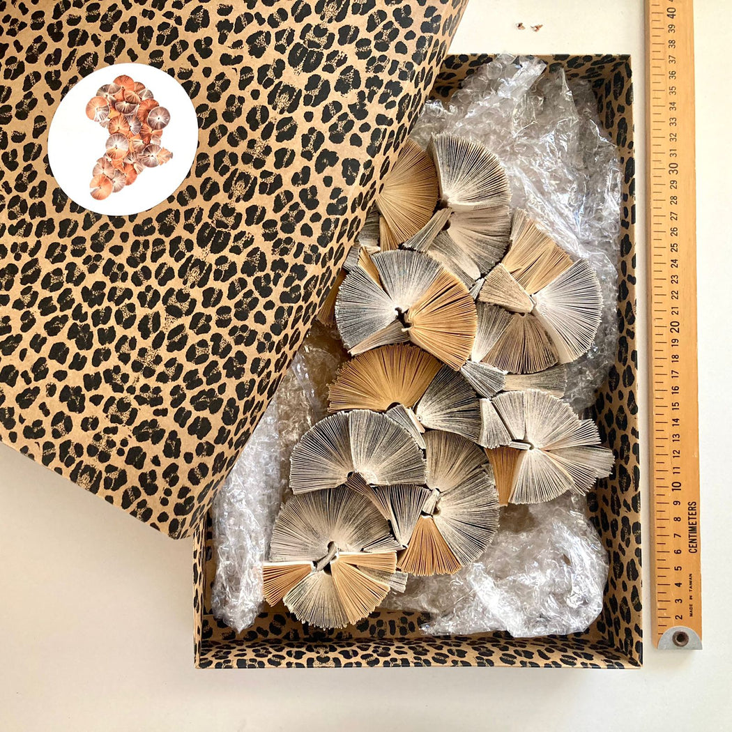 Africa Reinvented (Mini) - Artwork made from old books by Keri Muller